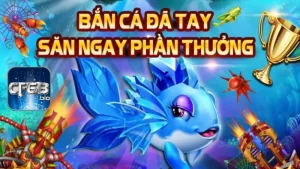 Săn cá mập đã tay, rinh ngay phần thưởng